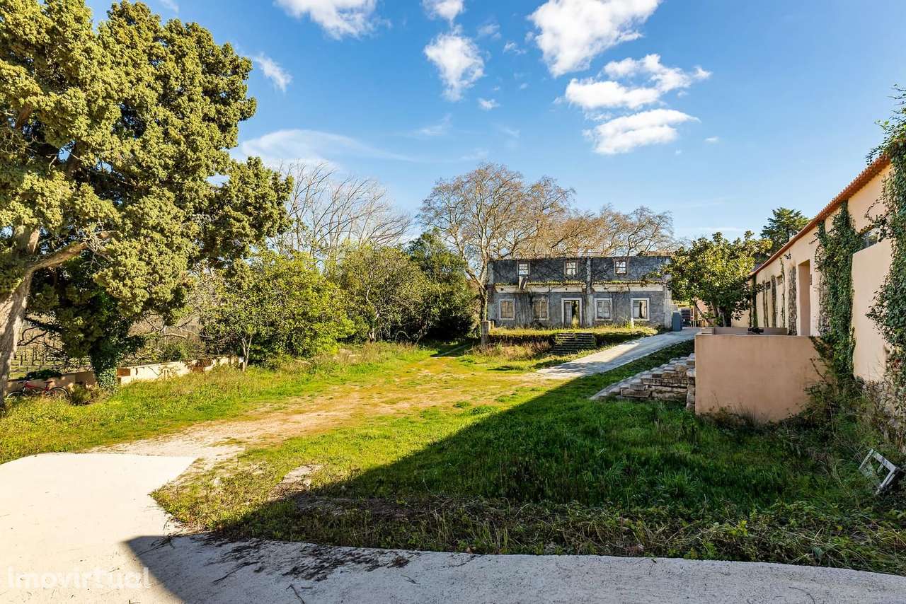 Quinta 7.6 ha, Torres Vedras - Grande imagem: 2/41