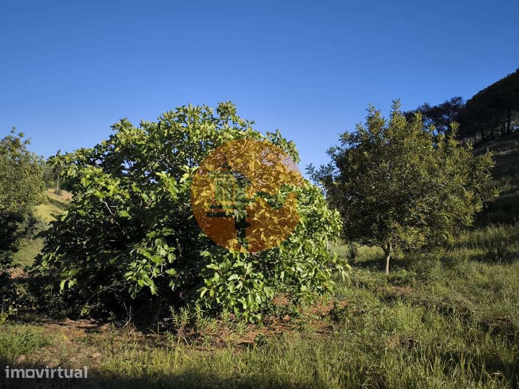 TERRENO COM 62.180 M2 - POSSIBILIDADE DE TURISMO RURAL - CONSTRUÇÃO... - Grande imagem: 3/44