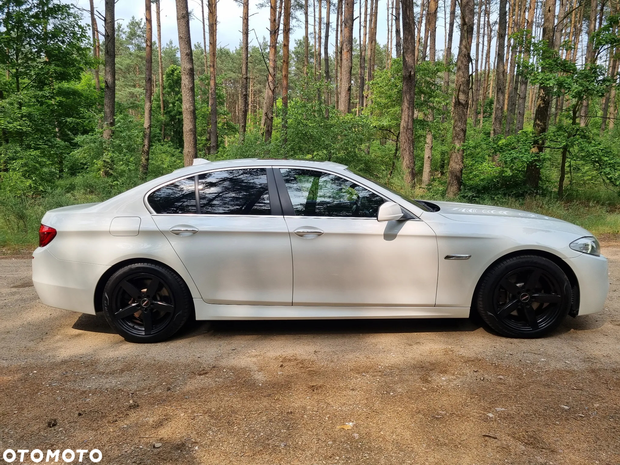 BMW Seria 5 530d xDrive - 10
