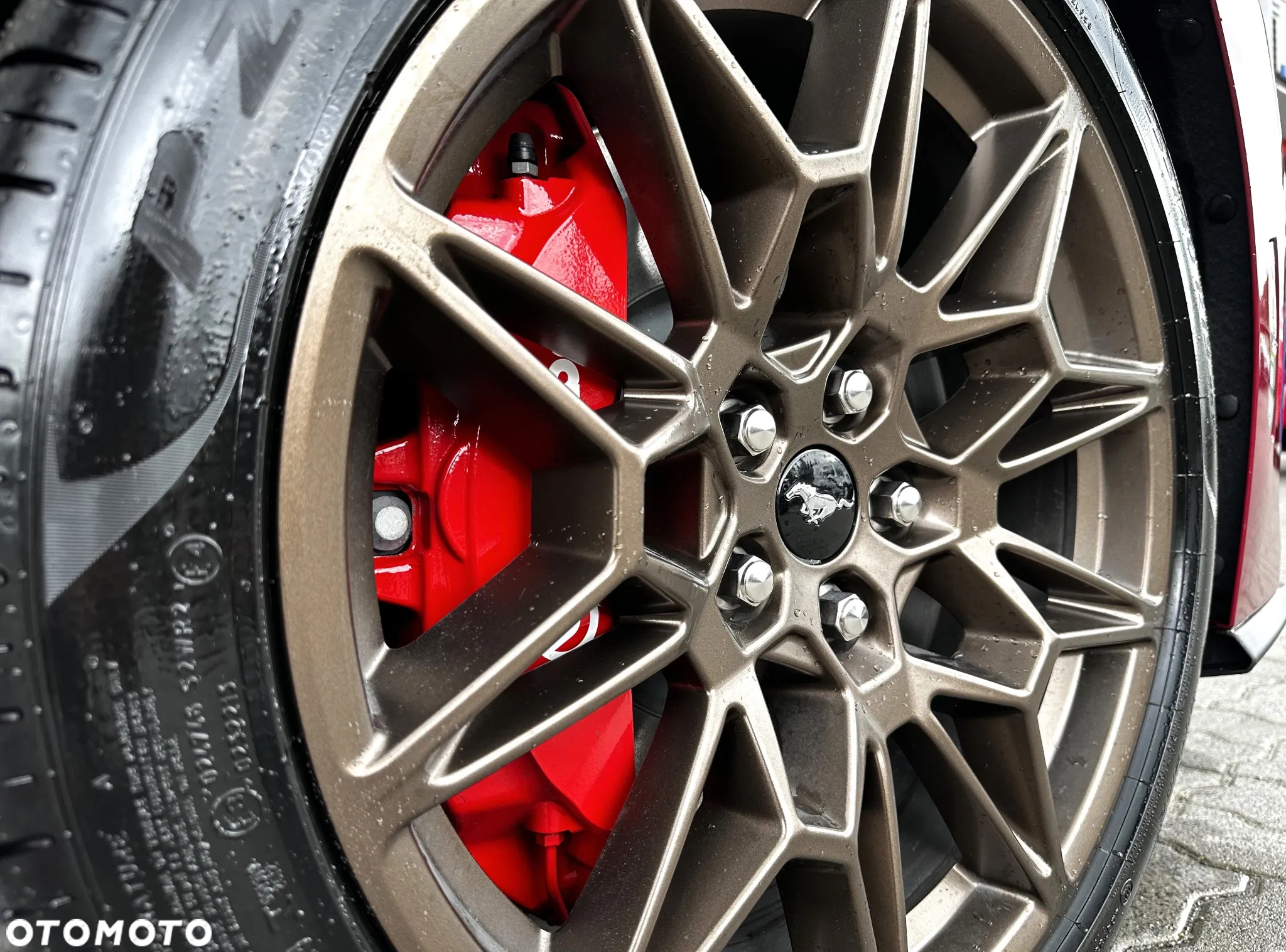 Ford Mustang 5.0 Ti-VCT V8 Dark Horse - 7