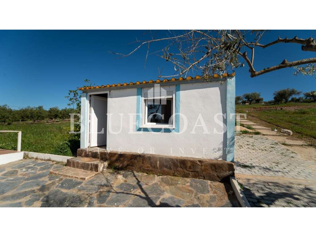 Quinta de charme em zona tranquila, Beja - Grande imagem: 5/21