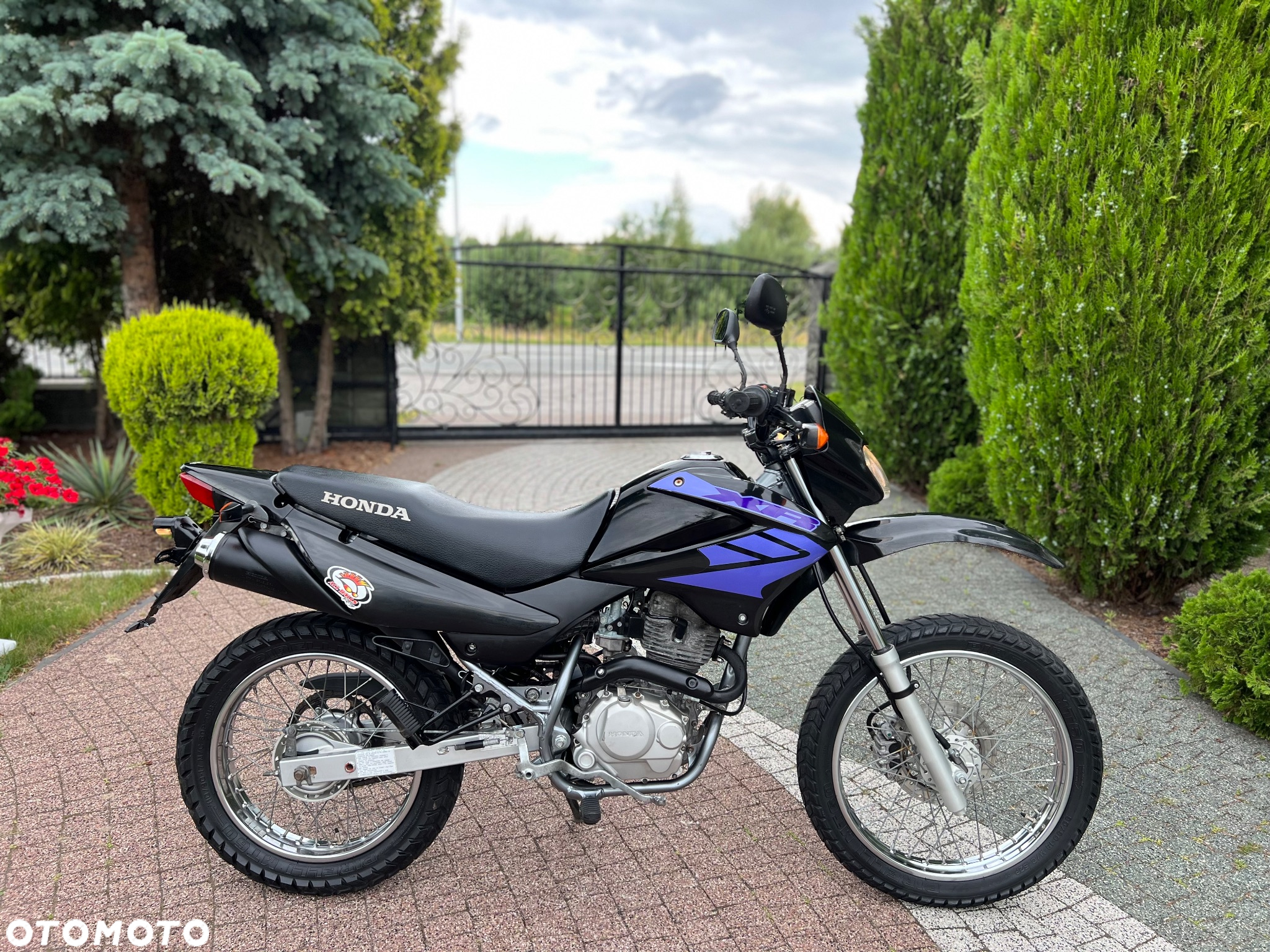 Honda XR - 7