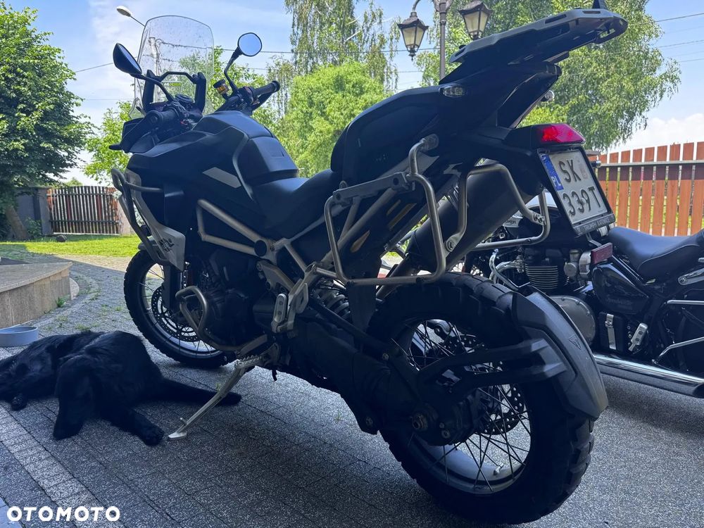 Triumph Tiger - 5