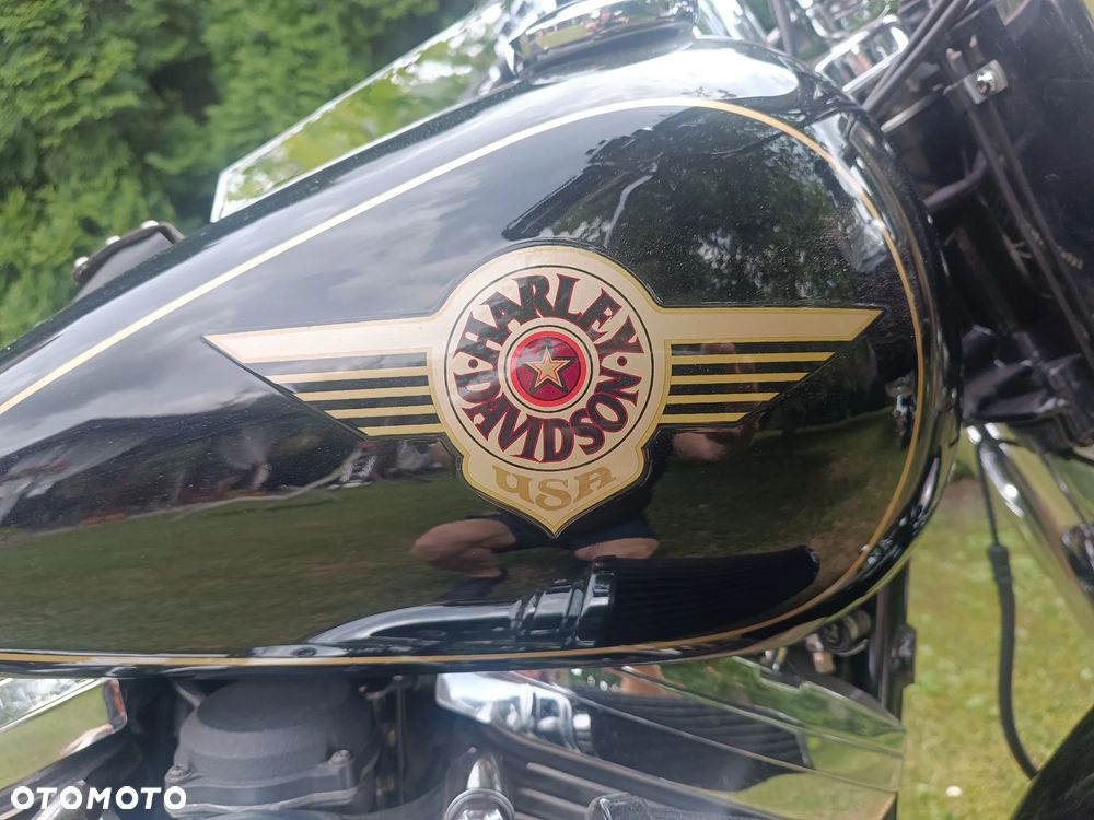 Harley-Davidson Softail Fat Bob - 11