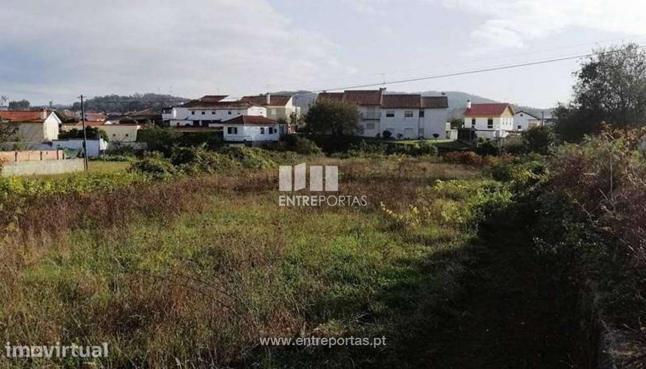 Venda de terreno agricola, Chafé, Viana do Castelo - Grande imagem: 2/30