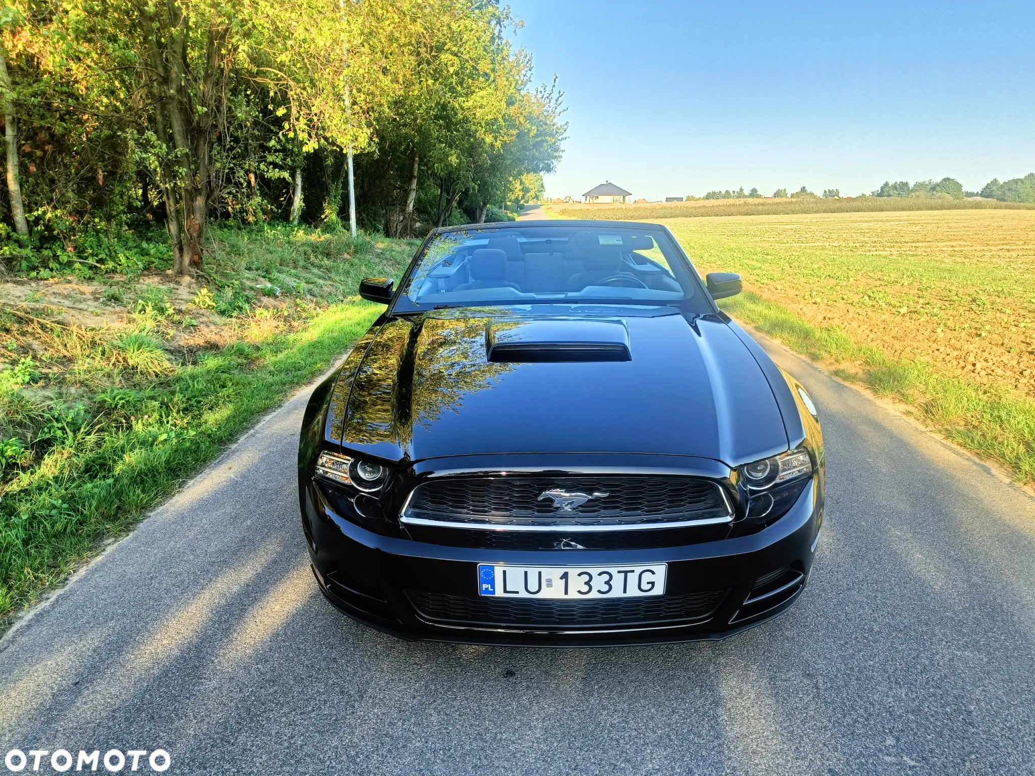 Ford Mustang 3.7 V6 - 3