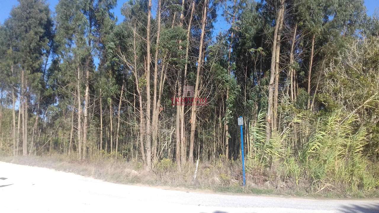 Terreno com 5440 m2, Lourinhã - Grande imagem: 2/3