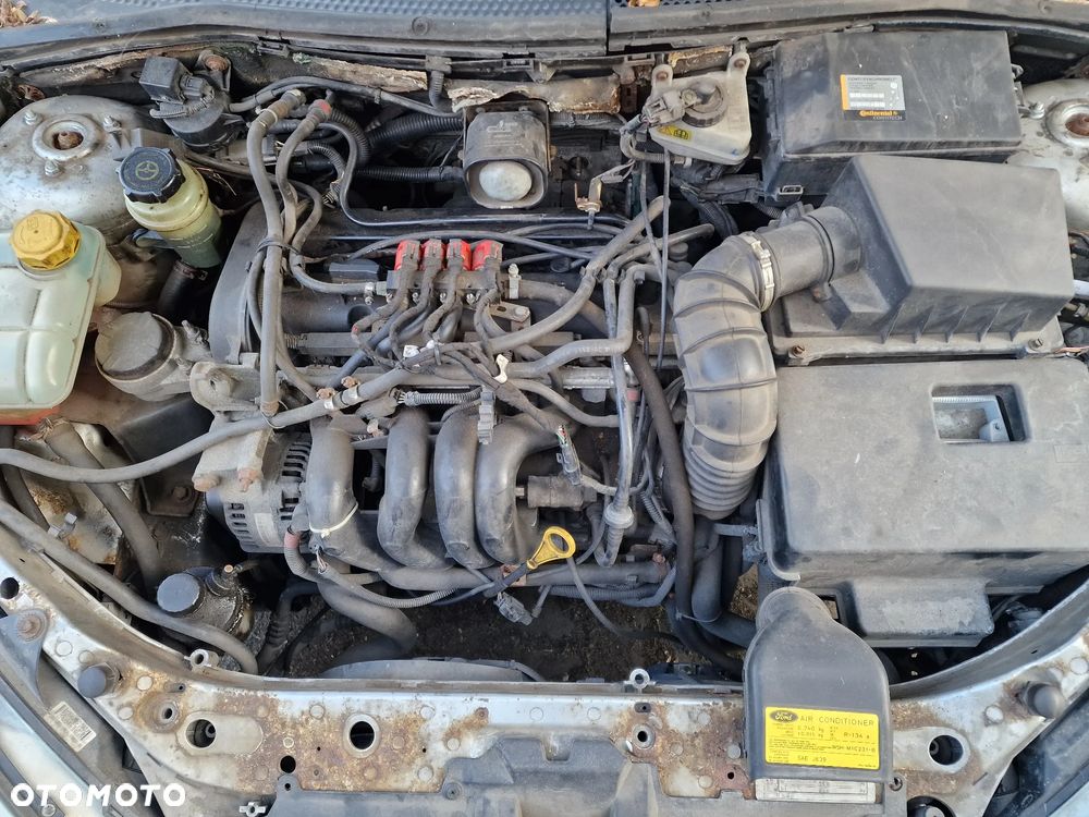 Ford Focus - 10