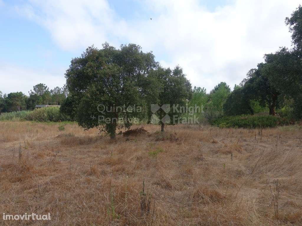 Terreno no Nadadouro, lote de 2220 m² , em Óbidos - Grande imagem: 3/14