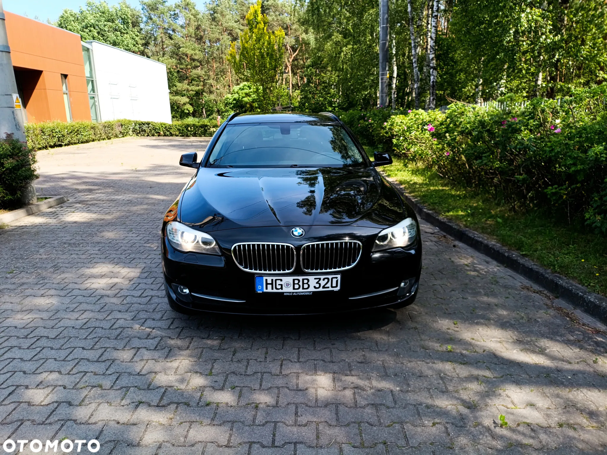 BMW Seria 5 530d - 10