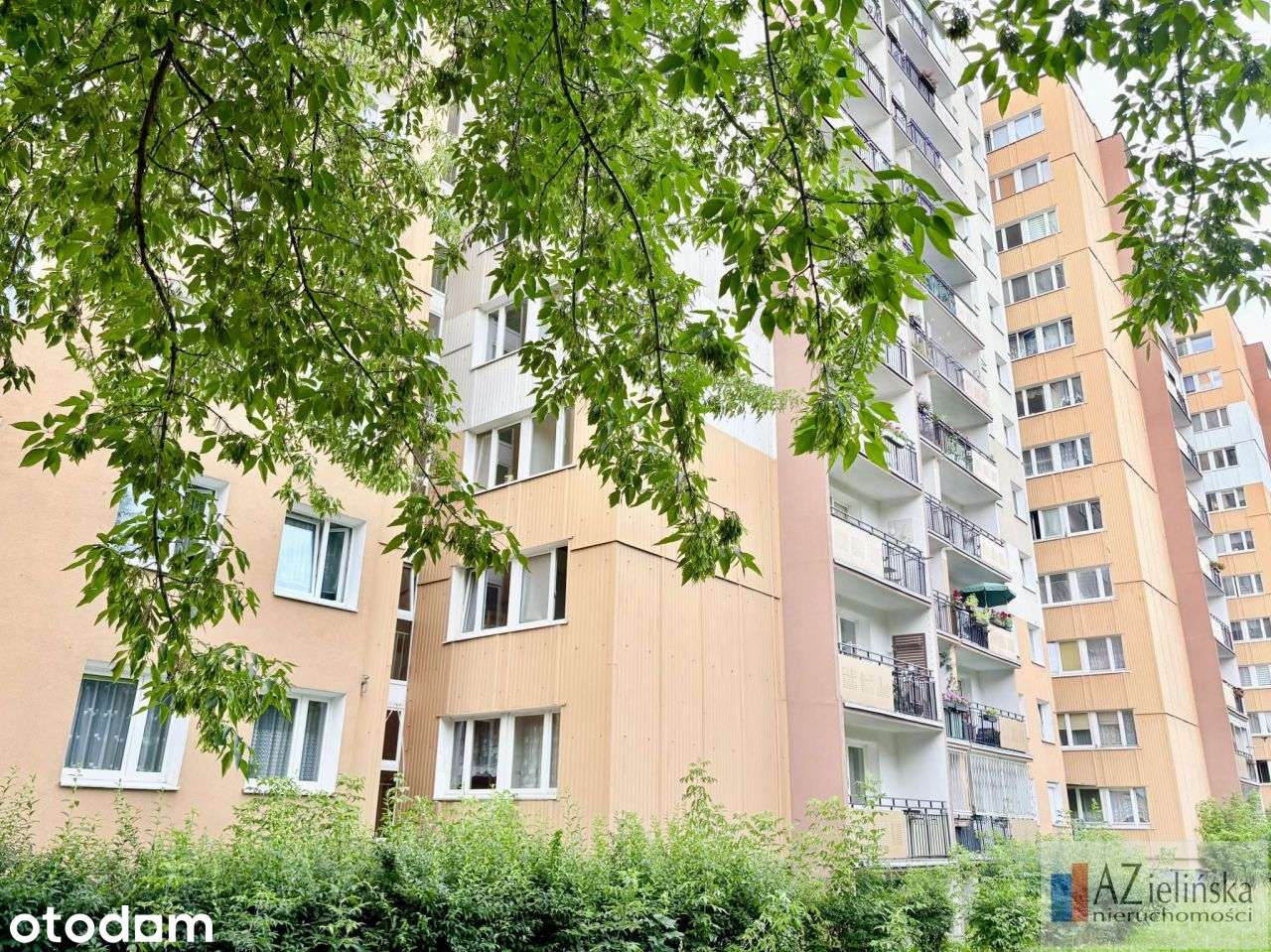 Mieszkanie, 43 m², Poznań