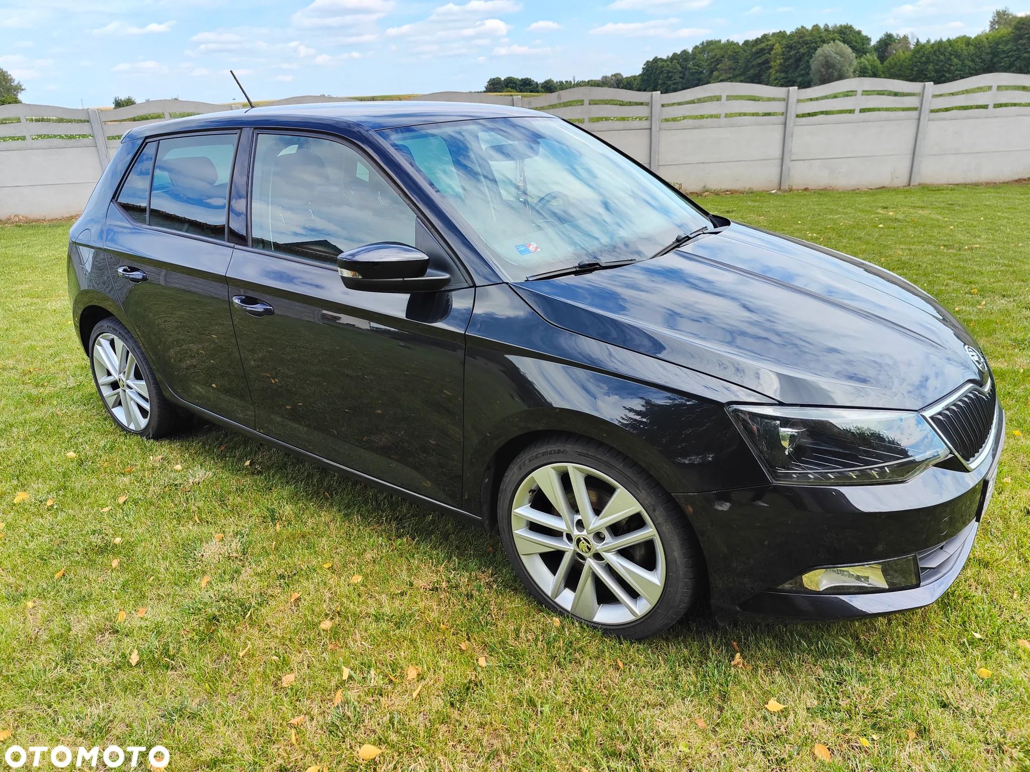 Skoda Fabia 1.4 TDI Style - 1