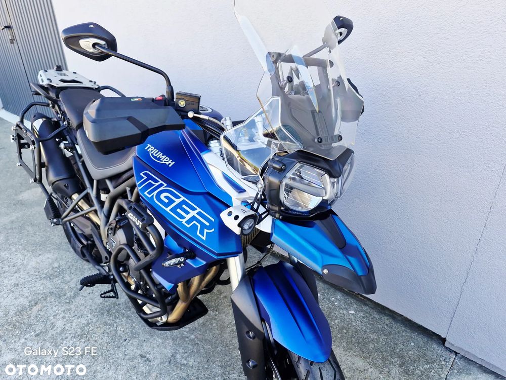 Triumph Tiger - 17
