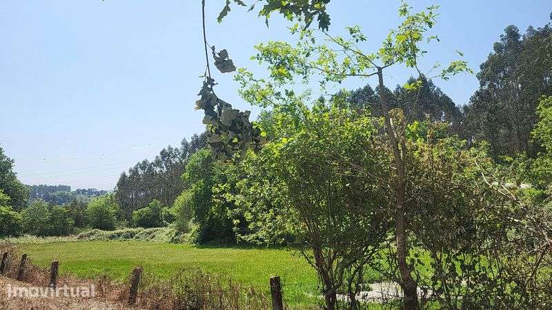 Terrenos Rústicos em Serzedelo, Póvoa de Lanhoso - Grande imagem: 2/9