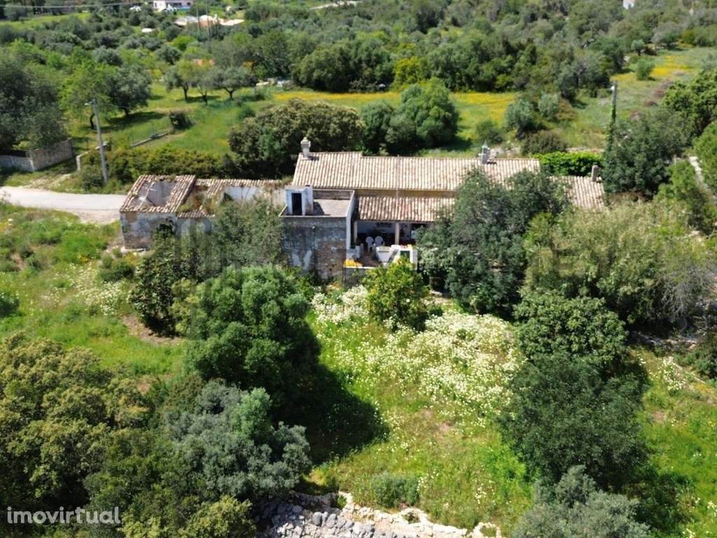 Terreno com ruina em Loulé - Grande imagem: 3/19