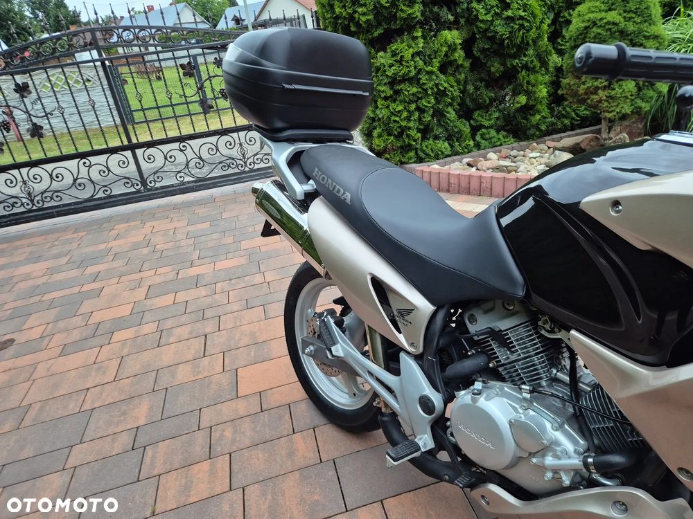 Honda Varadero - 7