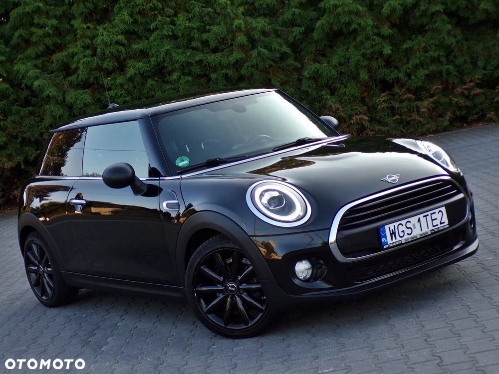 MINI ONE Blackyard - 13