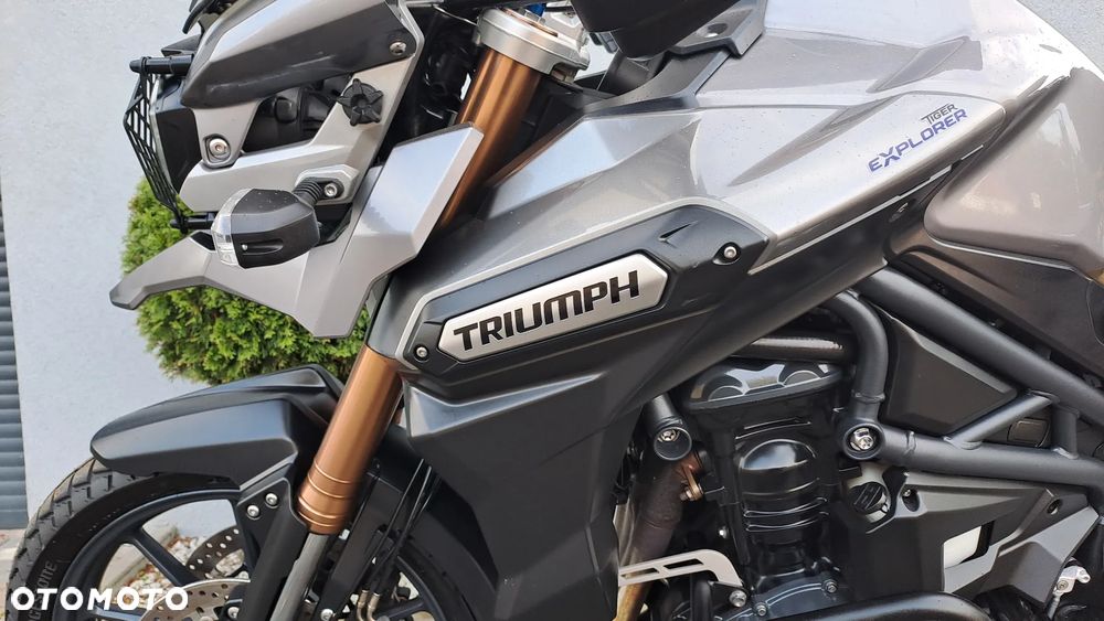 Triumph Tiger - 28
