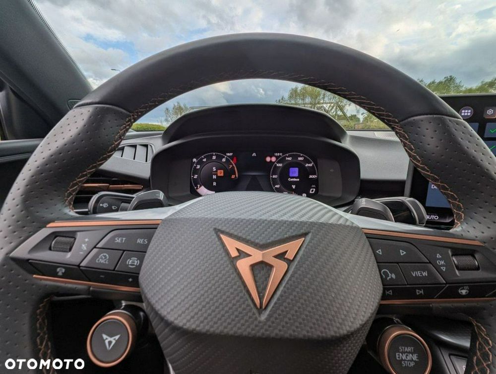 Cupra Terramar - 13