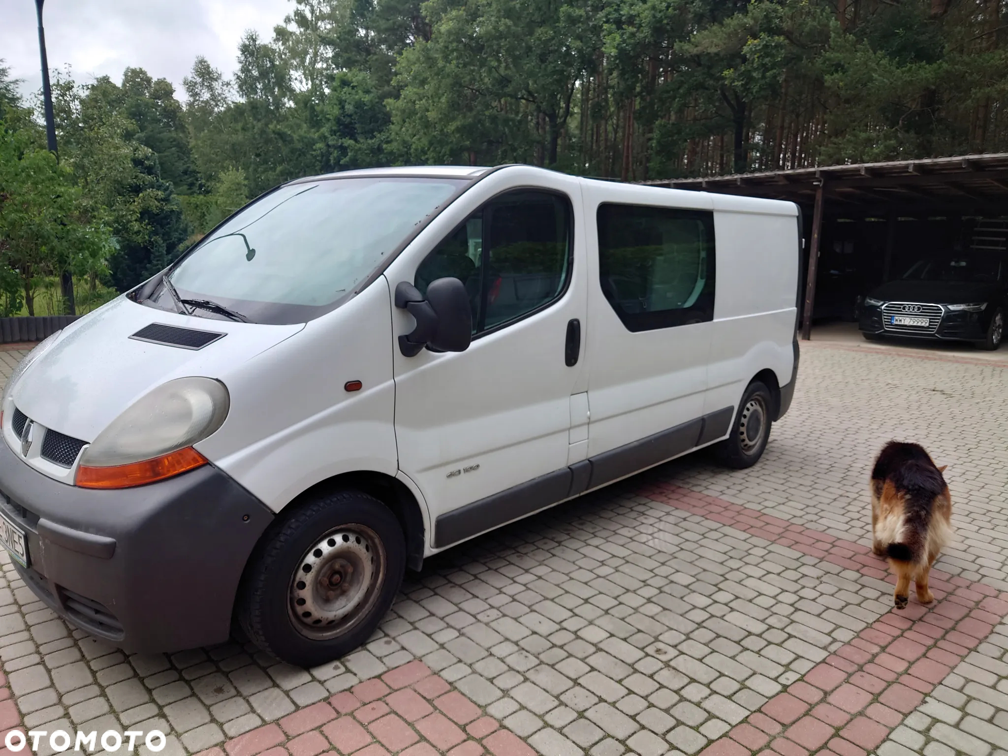 Renault Trafic - 2