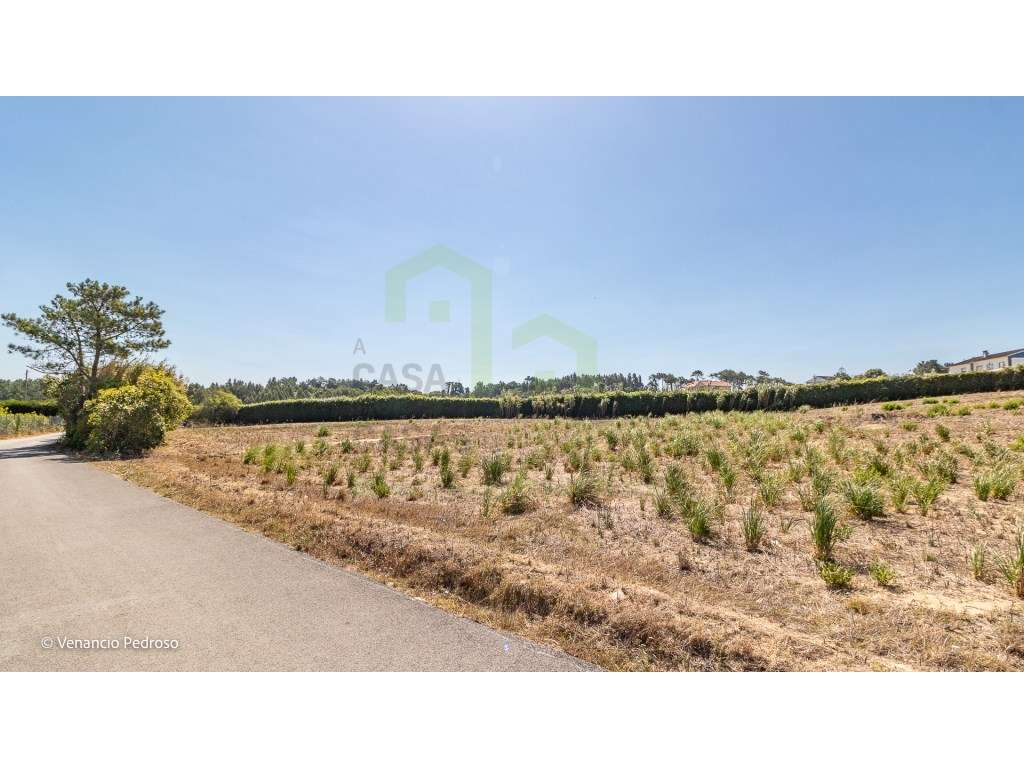 Terreno - Ericeira 4 km, A Casa das Casas - Grande imagem: 3/8