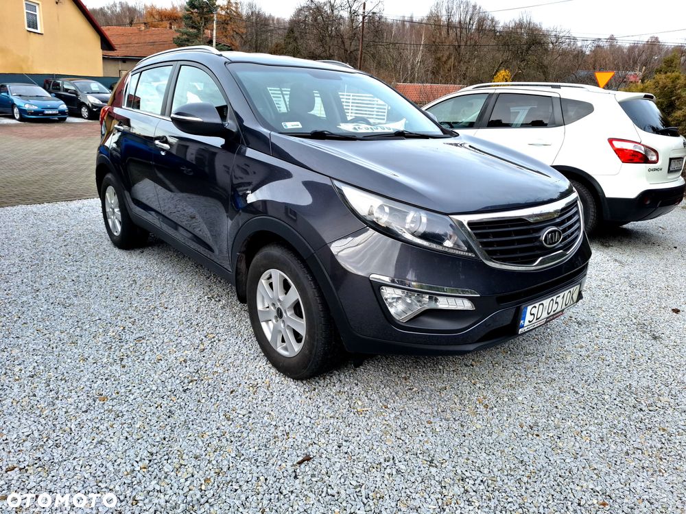 Kia Sportage - 1