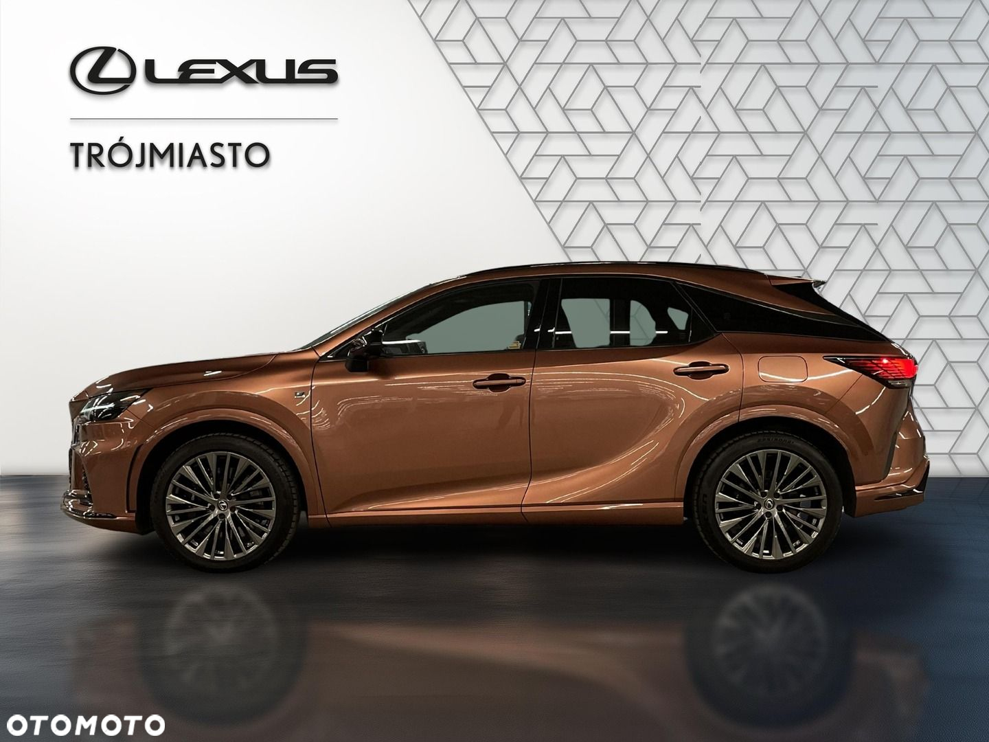 Lexus RX - 10