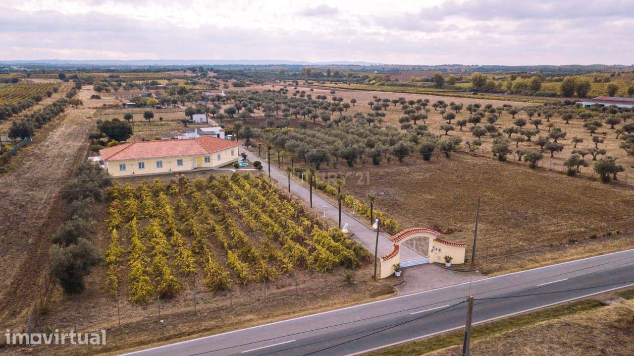Moradia T4 com piscina, vinha e olival em Reguengos de Monsaraz - Grande imagem: 2/28