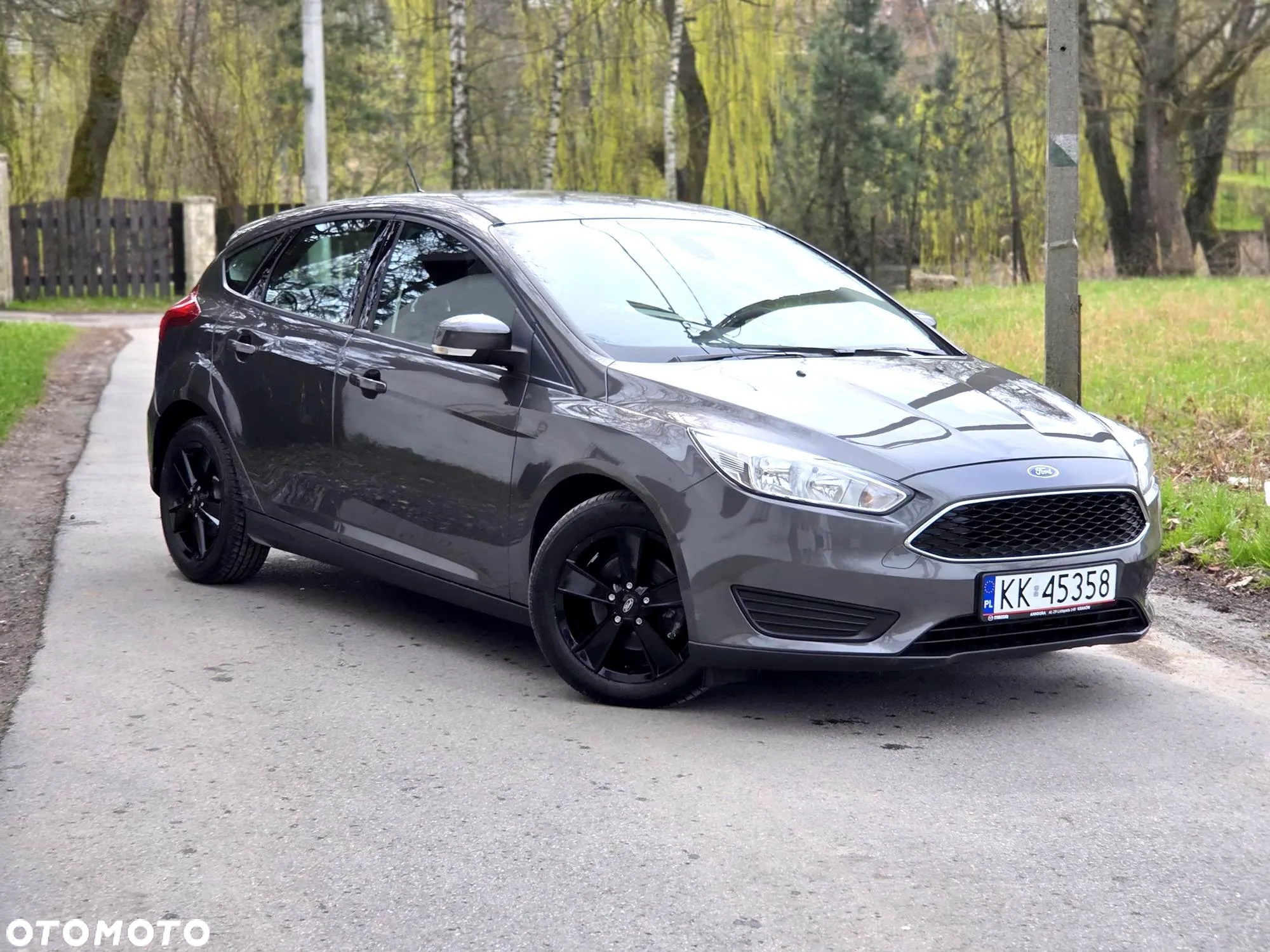 Ford Focus 1.0 EcoBoost Gold X ASS - 17
