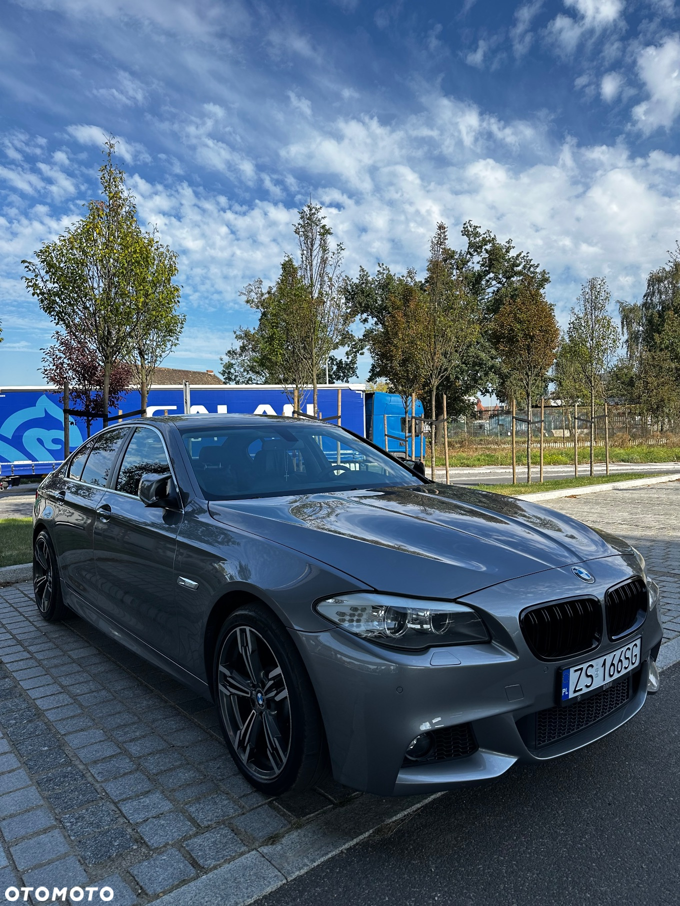 BMW Seria 5 530d xDrive - 5