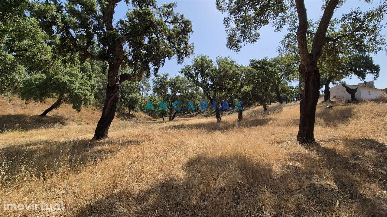 ANG1558 - Terreno para Venda em Bemposta, Abrantes - Grande imagem: 5/16