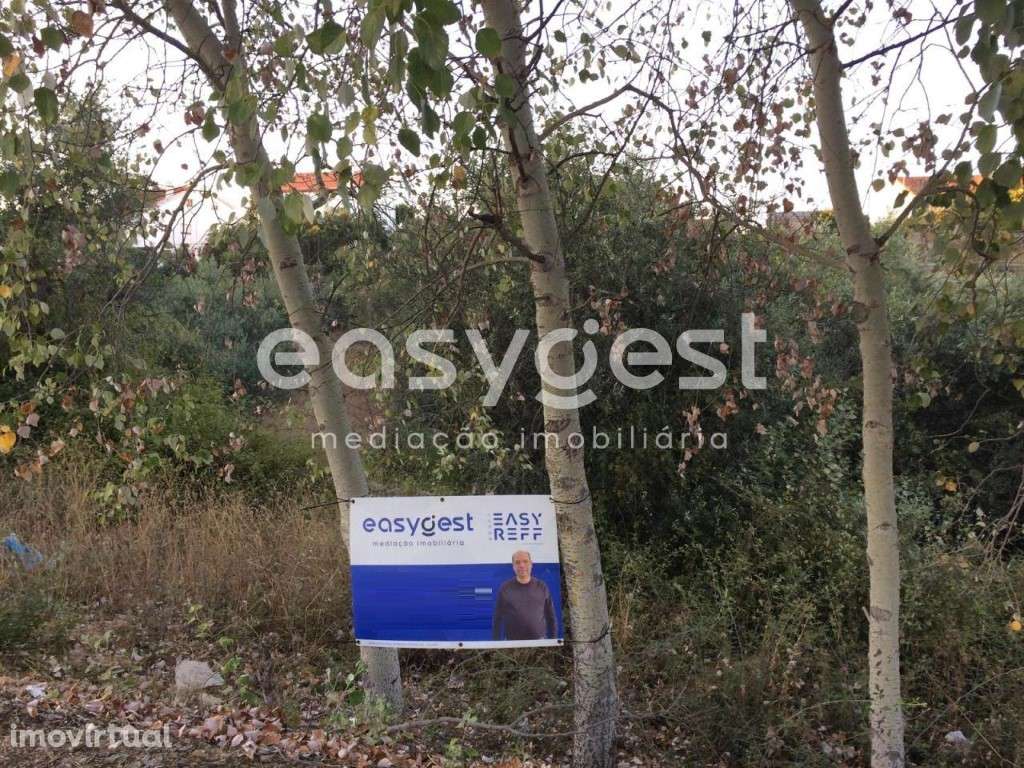 Cebolais Terreno para construção de lotes de moradias com 7440 m2 - Grande imagem: 2/14