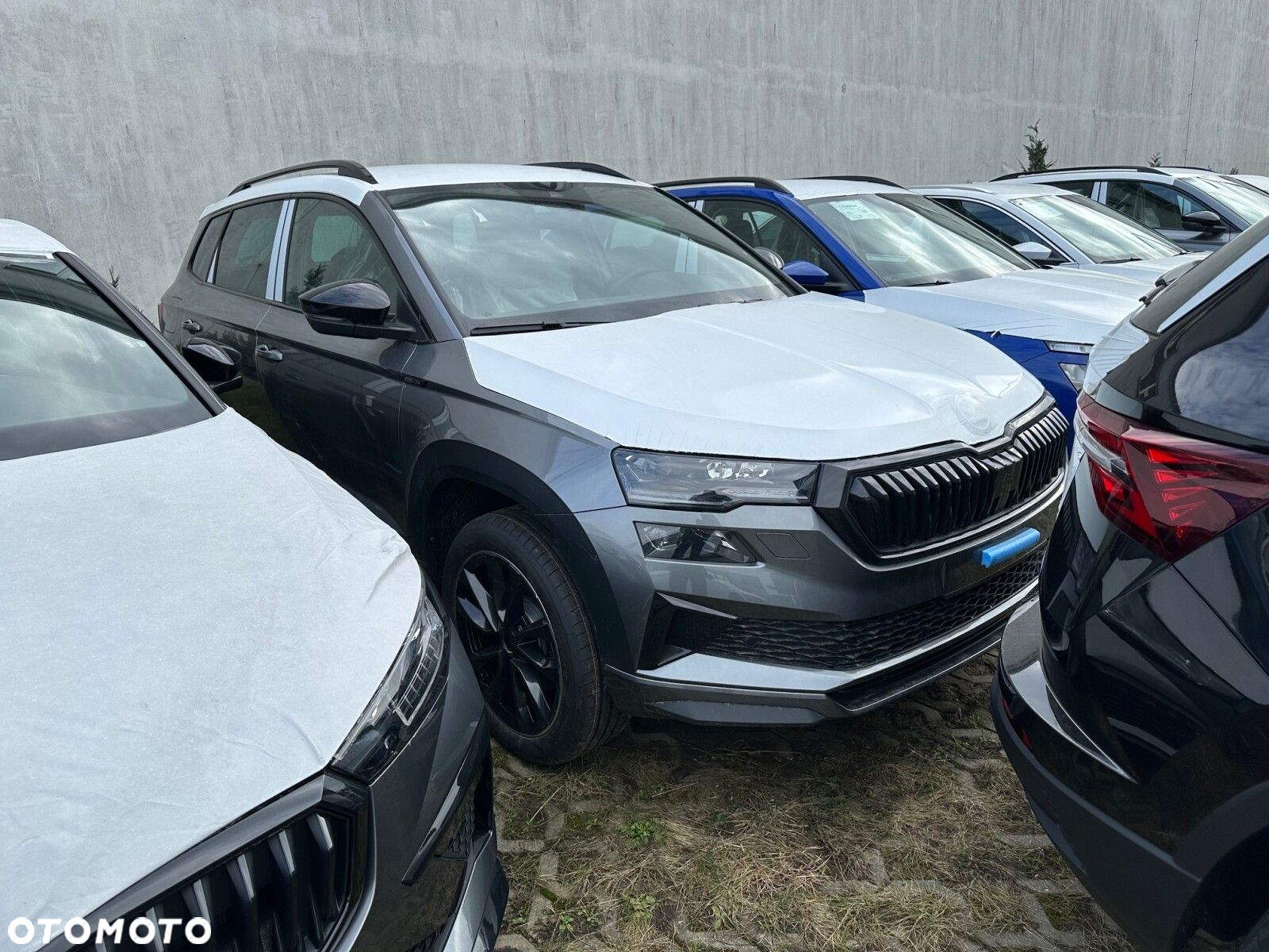Skoda Karoq - 2