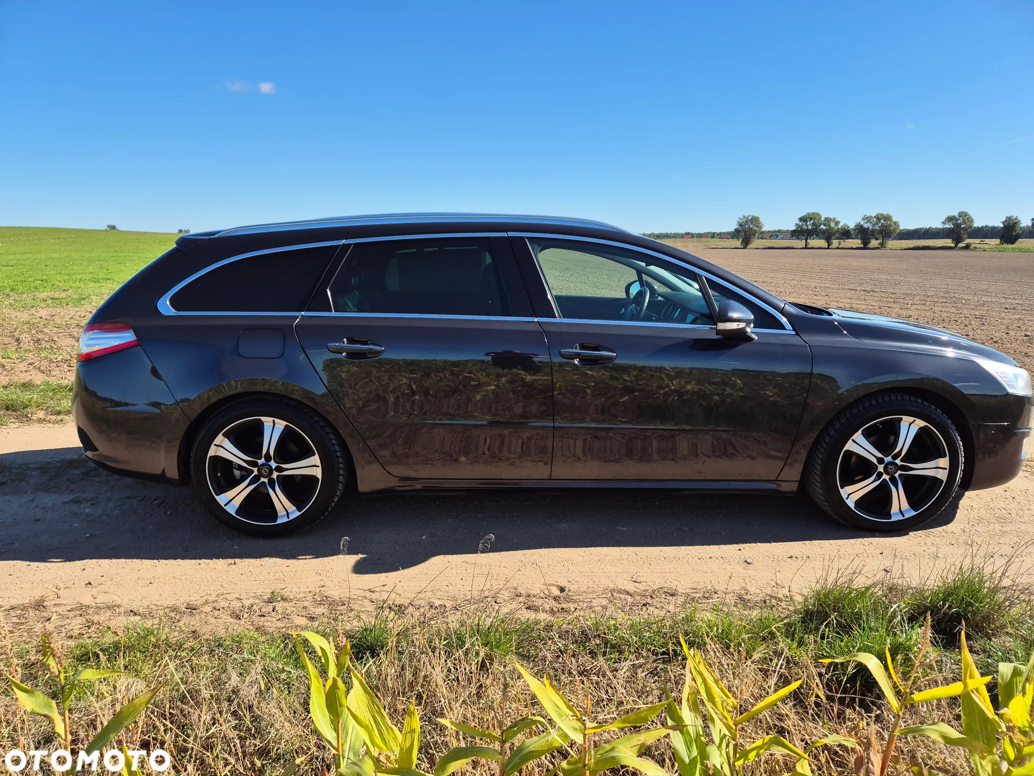 Peugeot 508 2.0 HDi Business Line - 17