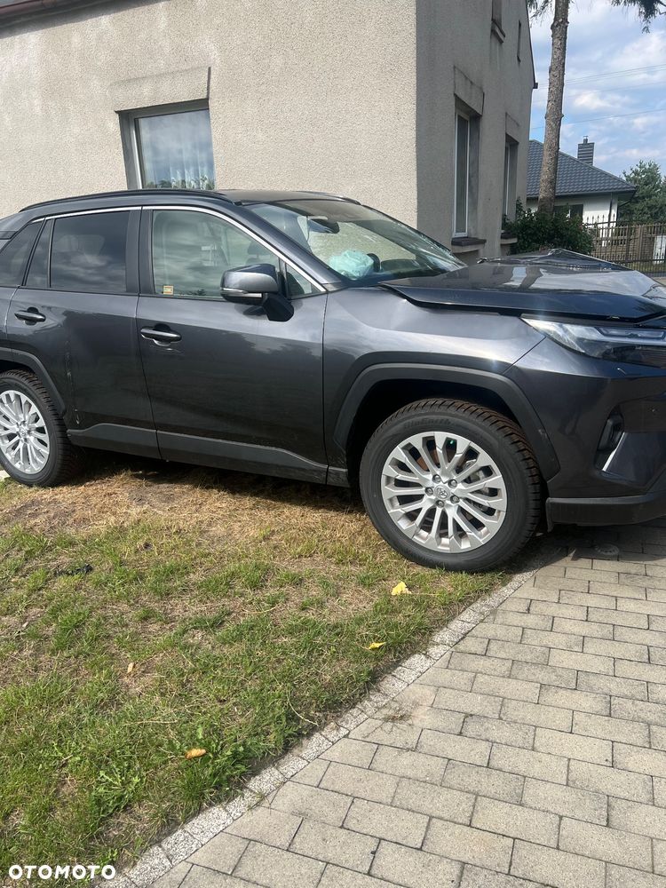 Toyota RAV4 2.5 Hybrid Dynamic Force Executive 4x2 e-CVT - 2