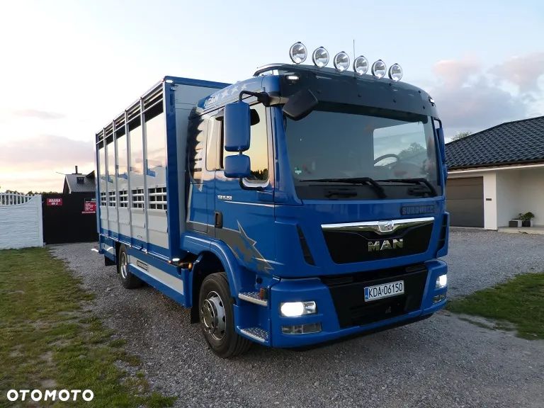 MAN TGM 15.250 DO ŻYWCA / ZWIERZĄT / BYDŁA / WAGA EL/. EURO 6 / DŁ. 5.20M /XENON - 1