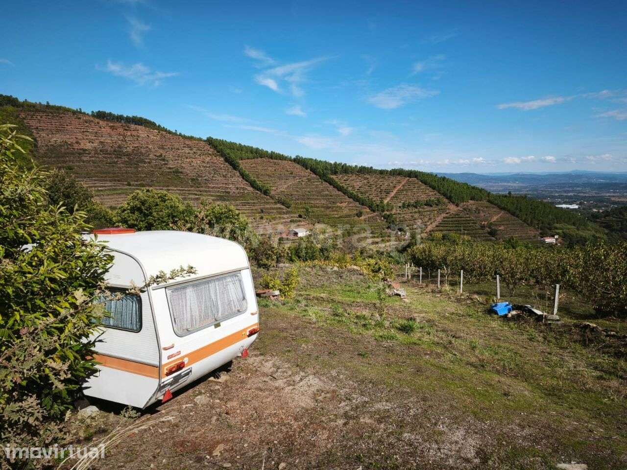 Quinta / Fundão, Alcongosta - Grande imagem: 2/11