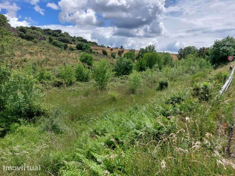 Terreno Rustico em Quinta da Catraia - Longroiva - Mêda - Grande imagem: 5/5