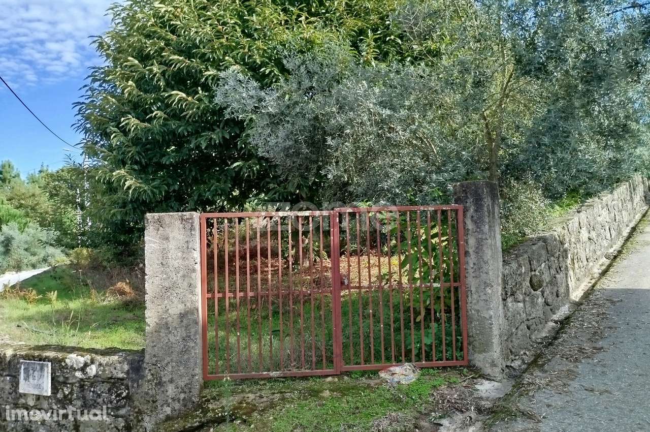 Lote para Construção com Localização Privilegiada e Serviços ao Red... - Grande imagem: 2/29