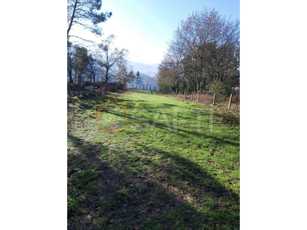 Excelente propriedade para a cultura de Vinho Alvarinho - Grande imagem: 3/9