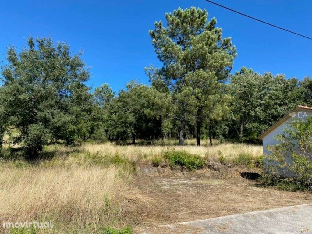 Terreno - Grande imagem: 5/6