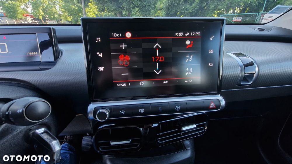 Citroën C4 Cactus 1.5 BlueHDi Shine - 19