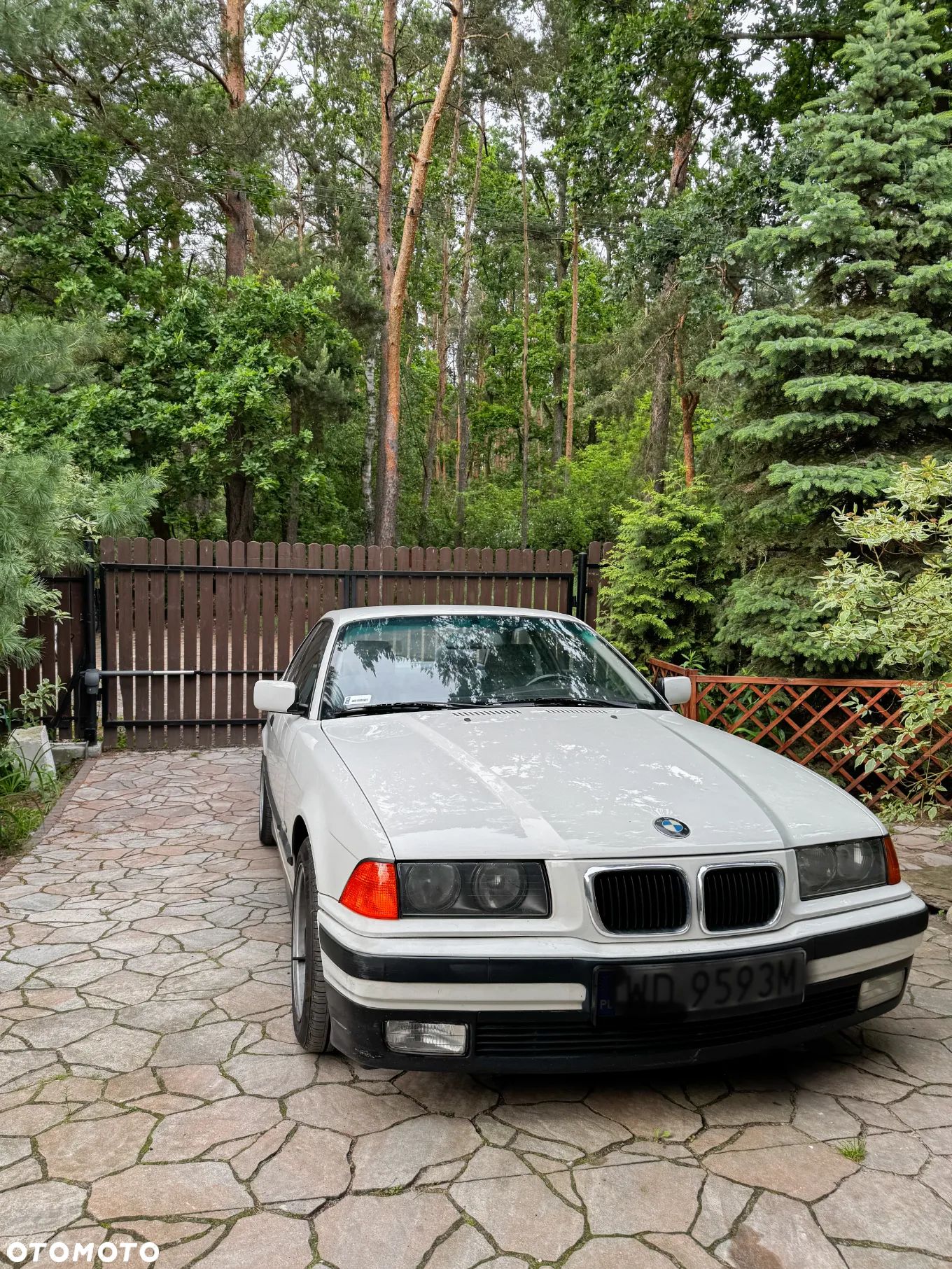 BMW Seria 3 - 1