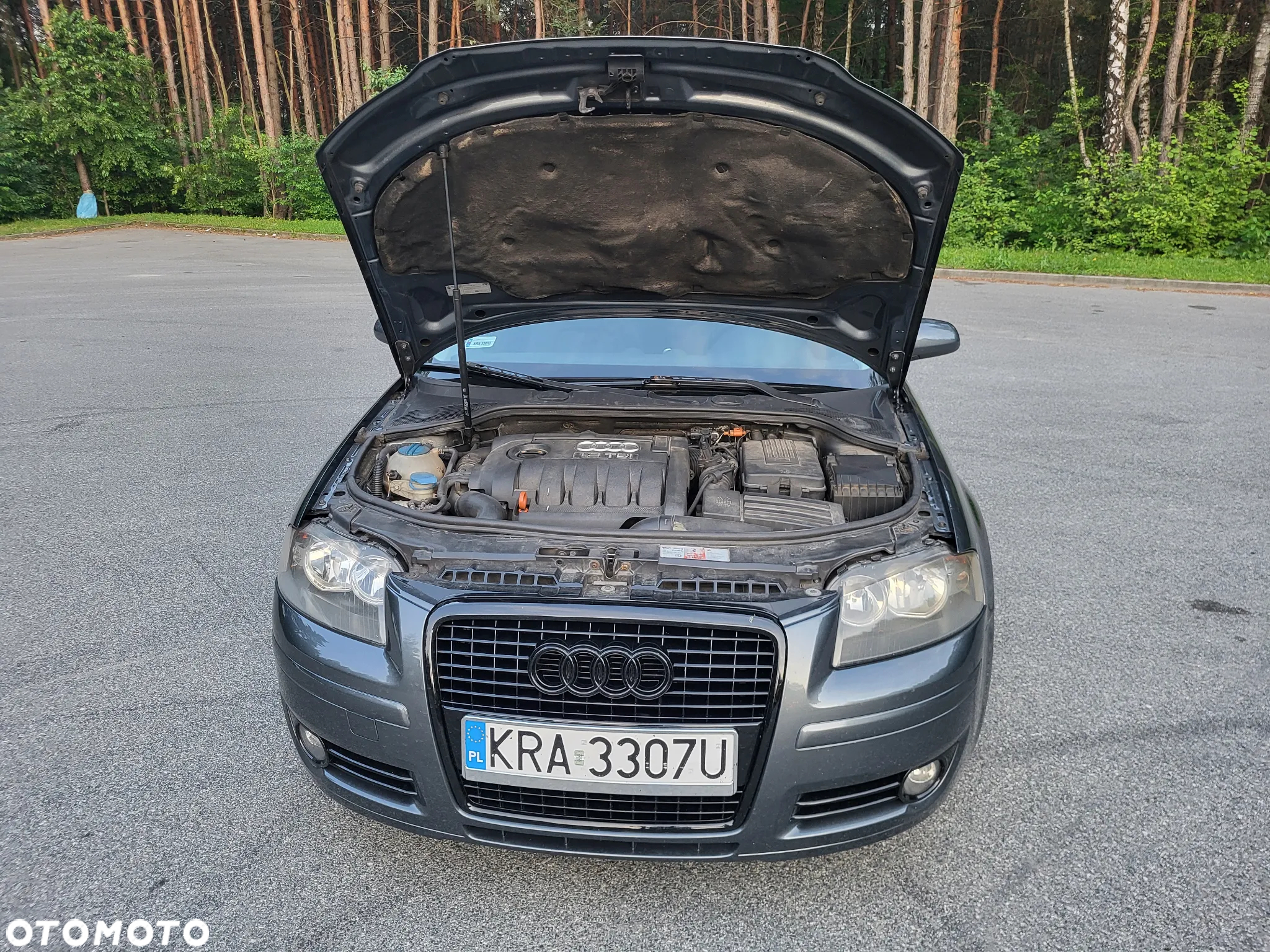 Audi A3 1.9 TDI Ambiente - 10