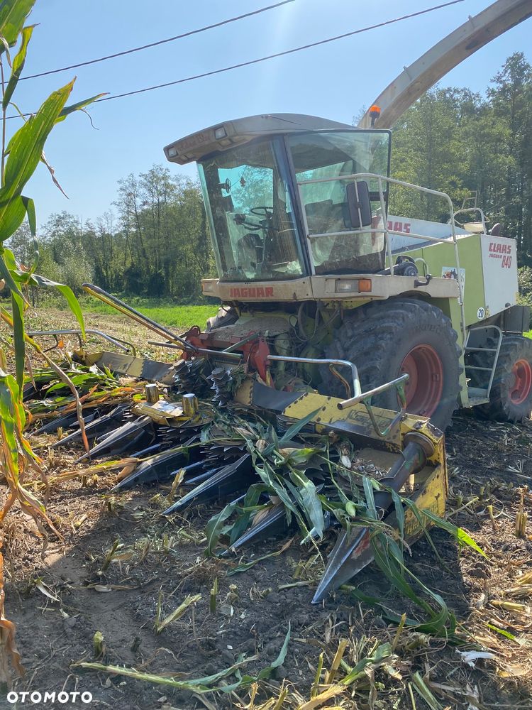 Claas Jaguar - 3