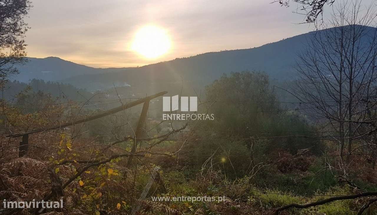 Venda de Terreno, Bárrio, Ponte de Lima - Grande imagem: 3/7
