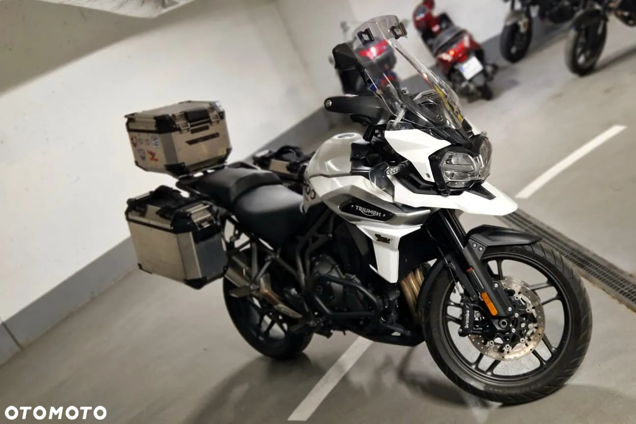 Triumph Tiger - 13