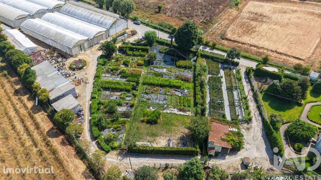 Loja / Estabelecimento Comercial em Ramalhal de 8000,00 m2 - Grande imagem: 3/29