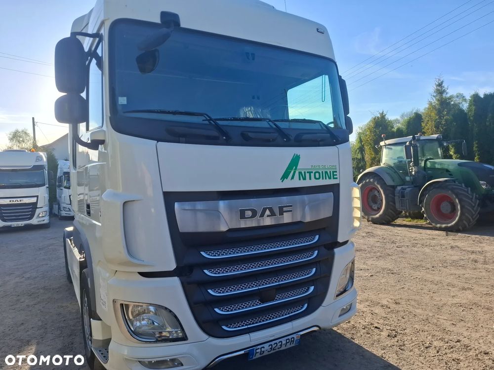 DAF XF  480. - 1