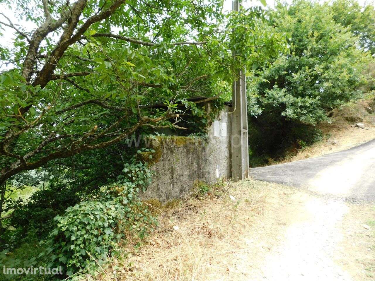 Quinta / Seia, Sandomil - Grande imagem: 3/20